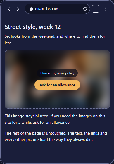 A page in the WiseHaven Browser with one picture blurred where it sits